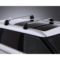 CROSS BARS, ROOF CARRIER (w/RA